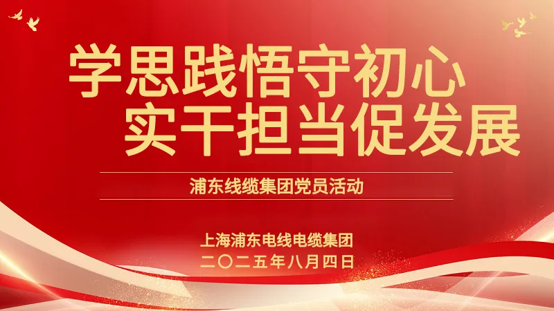 黨員活動(dòng) | 浦東線纜集團(tuán)：學(xué)思踐悟守初心，實(shí)干擔(dān)當(dāng)促發(fā)展